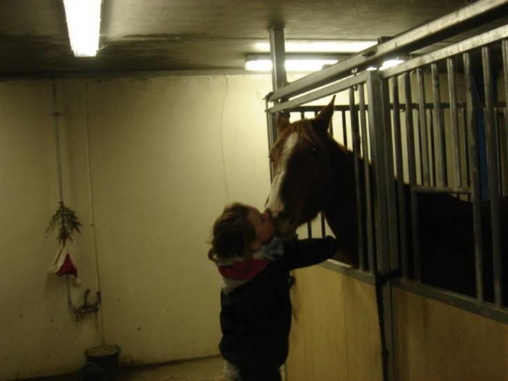 Anden særlig race Lulu Petrica Qwist SOLGT billede 13