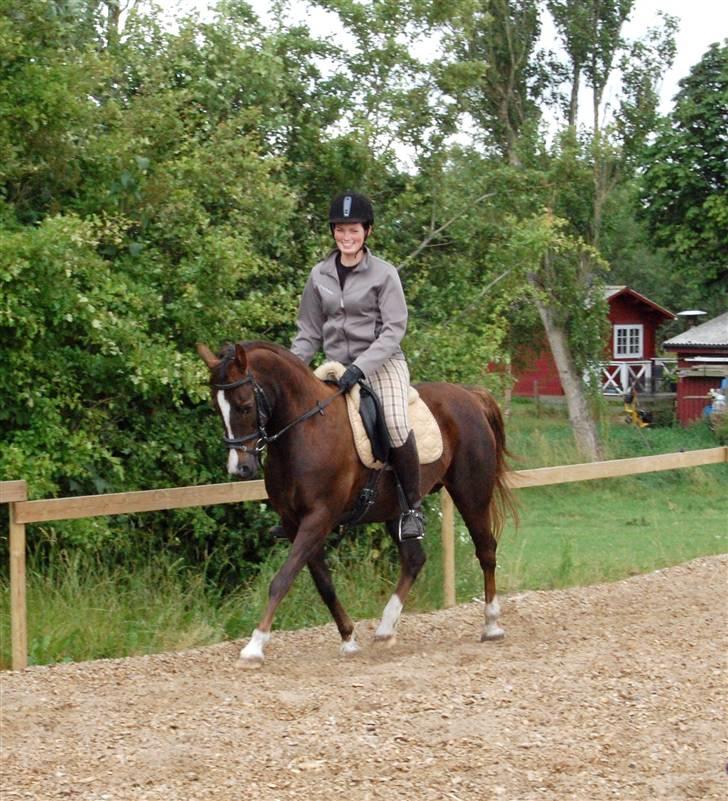 Anden særlig race SILKE - Silke og jeg i trav, 2. gang efter folingen 27/6.   - foto: maria. billede 20