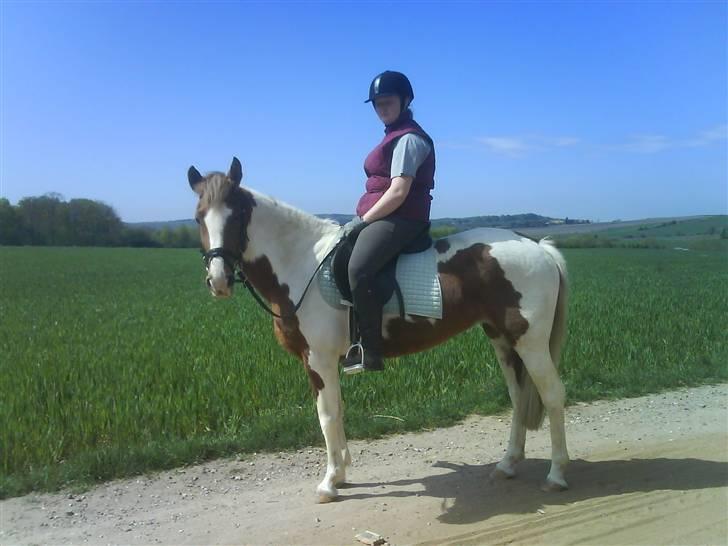 Pinto Pebsi <3 - *himmelpony* R.I.P d.12.09.2011 :'( billede 20