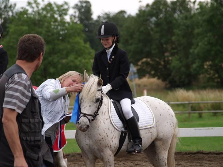 Knabstrupper Søholmgaards Orkan - vi får overrækt andenpræmie til bm. orkan var lidt bange for den store roset (:´ billede 13