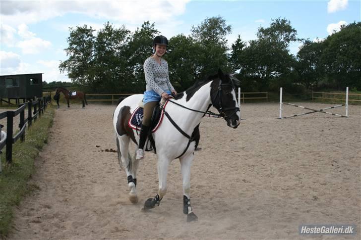 Anden særlig race Europy / Unik (PASSER) - Skridter den dejlige hest varm for katja<3! holder fucking meget af jer! ;D Foto: Rikke Lund billede 14