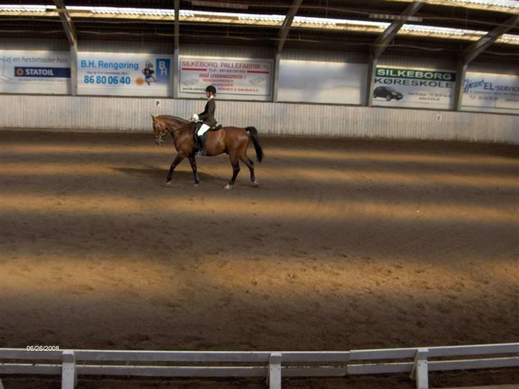 Anden særlig race Apollon/Polle(mor's)  - Starten på en parade (;  billede 18