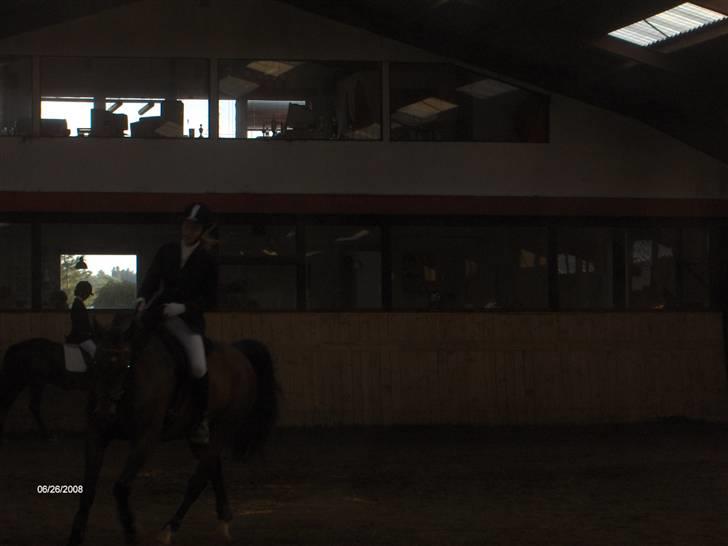 Anden særlig race Apollon/Polle(mor's)  - Til opvarming (; billede 19