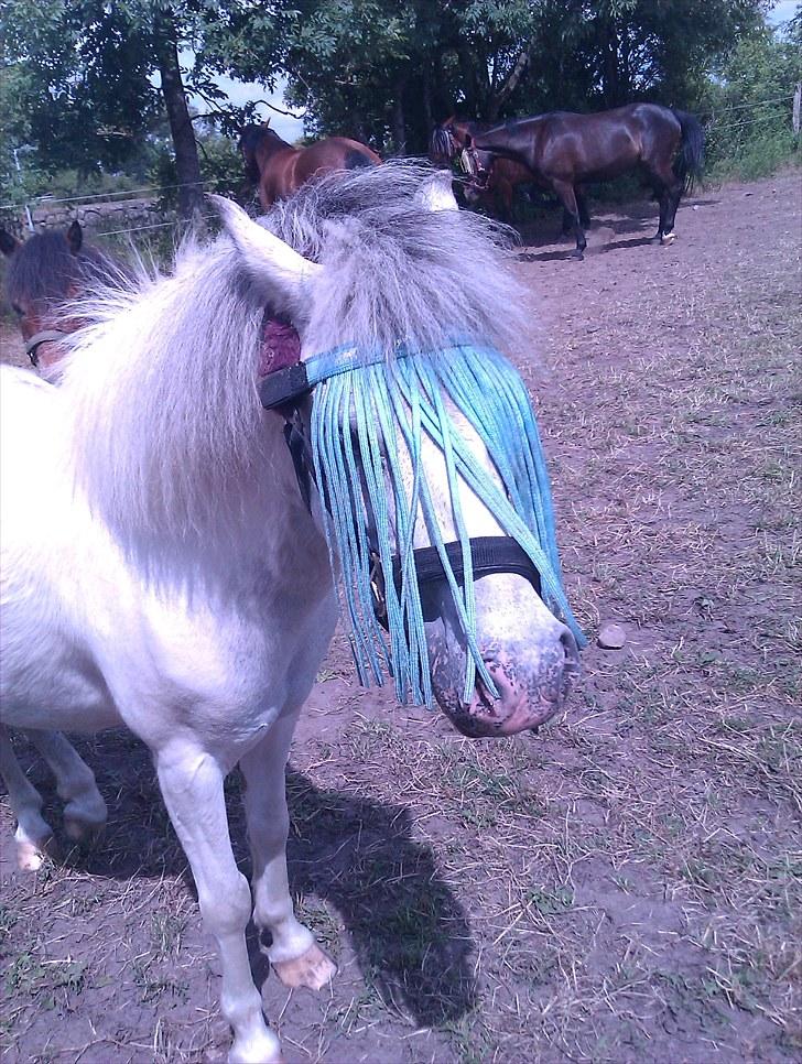 Anden særlig race Bonanza / Fræk af delle xD - Velkommen til Bonanzas profil, smid meget gerne en kommentar og en bedømmelse =D billede 1