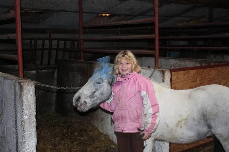 Anden særlig race Bonanza / Fræk af delle xD - Den dag der jeg fik ham RIGTIG dejlig dag ! =) billede 3