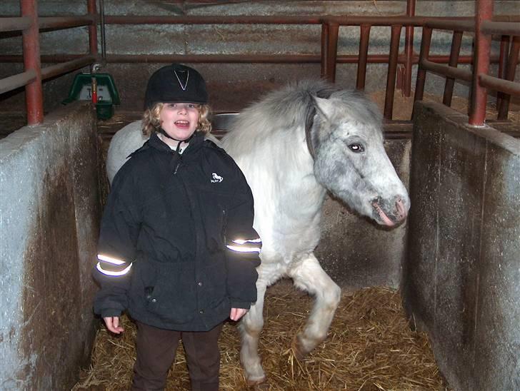 Anden særlig race Bonanza / Fræk af delle xD - spansk skridt kan han da os billede 5