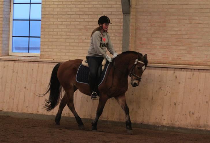 Anden særlig race Komet MIN FOR ALTID - Mig og den perfekte<3 (Pia L) billede 6