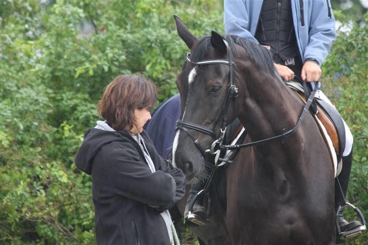 Hannoveraner Gräfin von Ginsberg - Mor jeg keder mig:) Du er og bliver et dampbarn skatte<3 Fotograf: Gitte Dahl billede 9