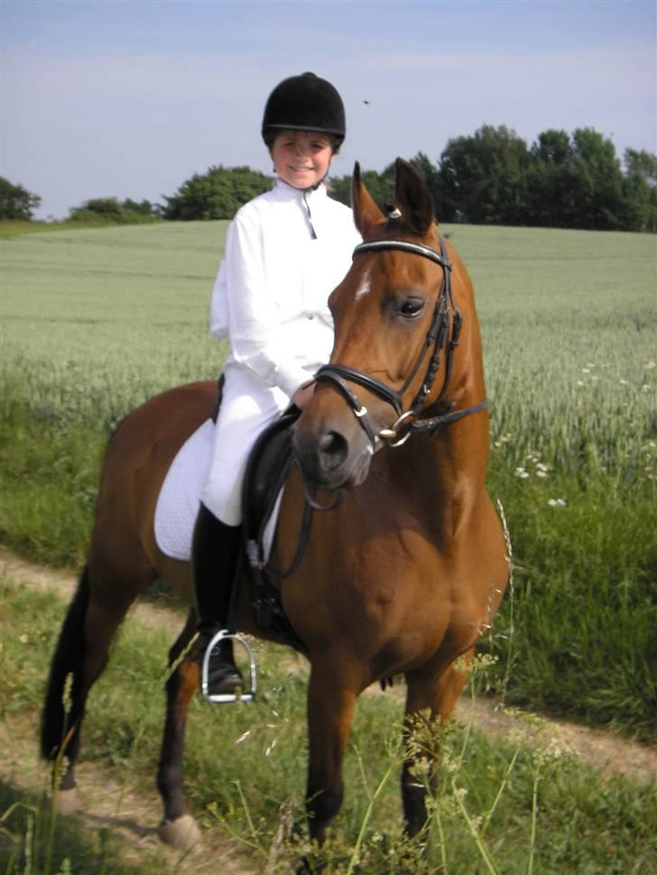 Anden særlig race Ryttergårdens Nika-SOLGT- - Til afkøling efter stævne.. billede 3