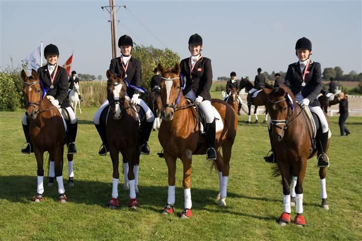 Anden særlig race Ryttergårdens Nika-SOLGT- - DM sølv 2007. Holdet bestod af mig og Nika, Nanna Merrald og Centrum, Julie Dankau og Dornick-son, Nanna Madsen og Armando.  billede 5