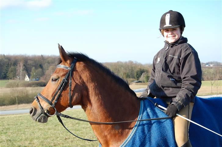 Anden særlig race Ryttergårdens Nika-SOLGT- billede 10