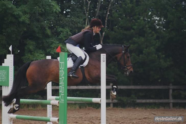 DSP Dine<3 - foto Jeannett billede 2