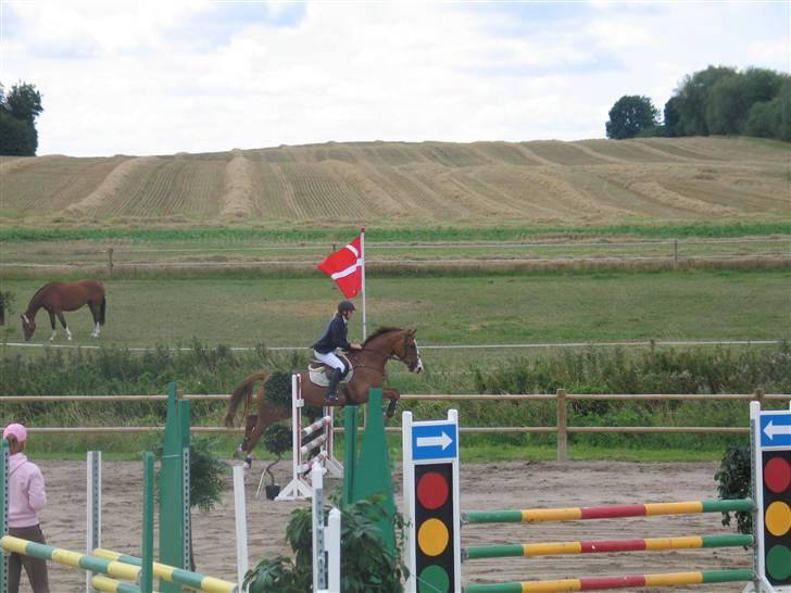 Anden særlig race Baloulot Z (givet væk) billede 6