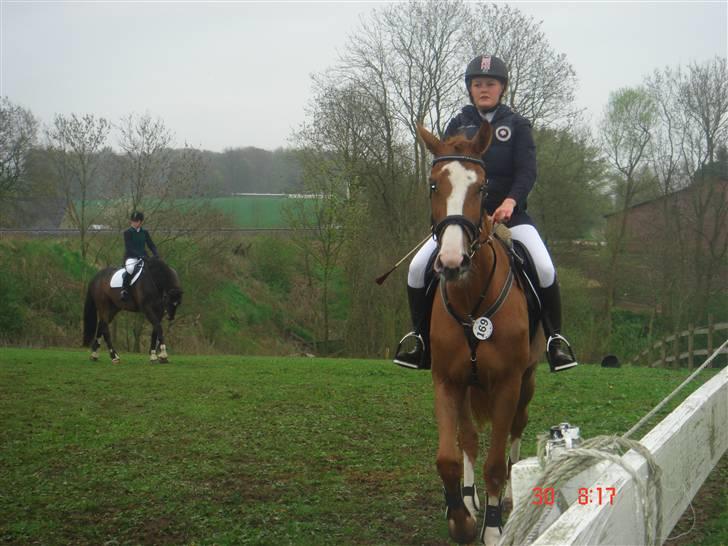 Anden særlig race Baloulot Z (givet væk) billede 9