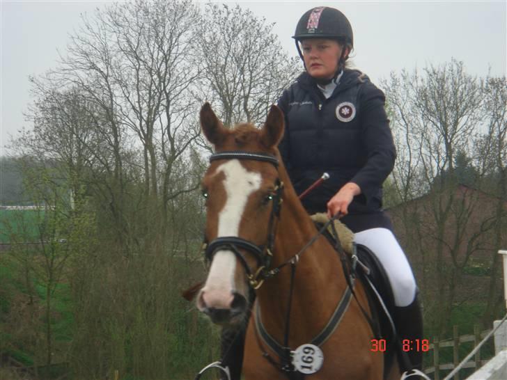 Anden særlig race Baloulot Z (givet væk) billede 10