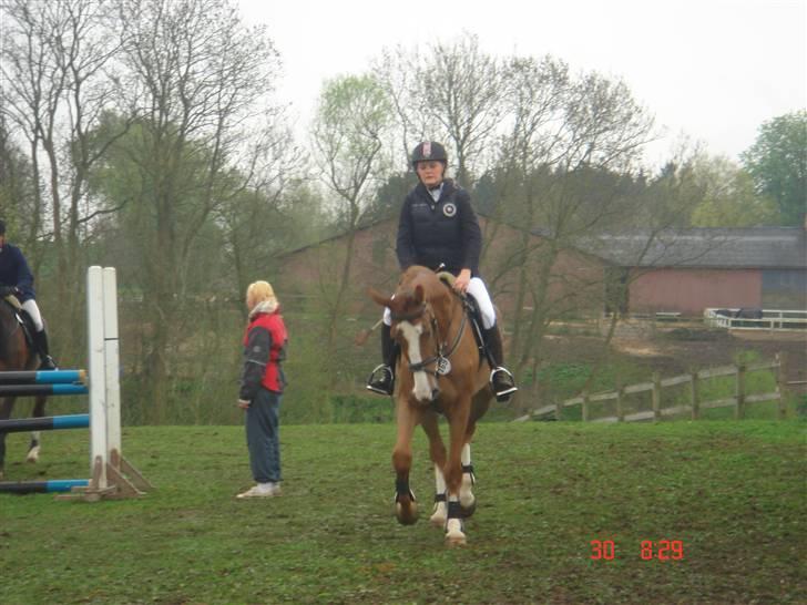 Anden særlig race Baloulot Z (givet væk) billede 11