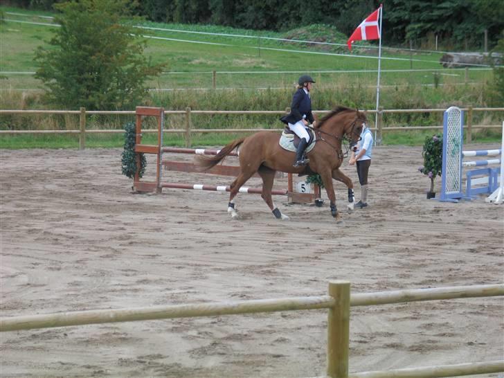 Anden særlig race Baloulot Z (givet væk) billede 12