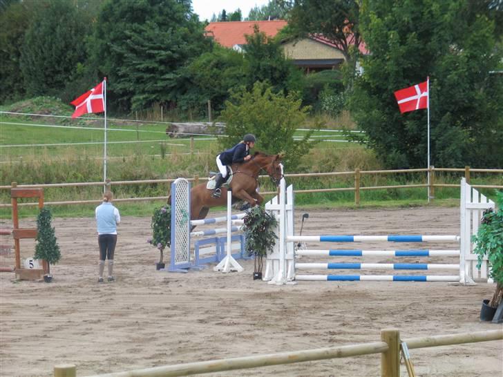 Anden særlig race Baloulot Z (givet væk) billede 13