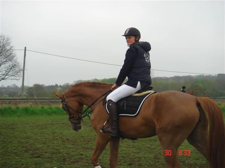 Anden særlig race Baloulot Z (givet væk) billede 14