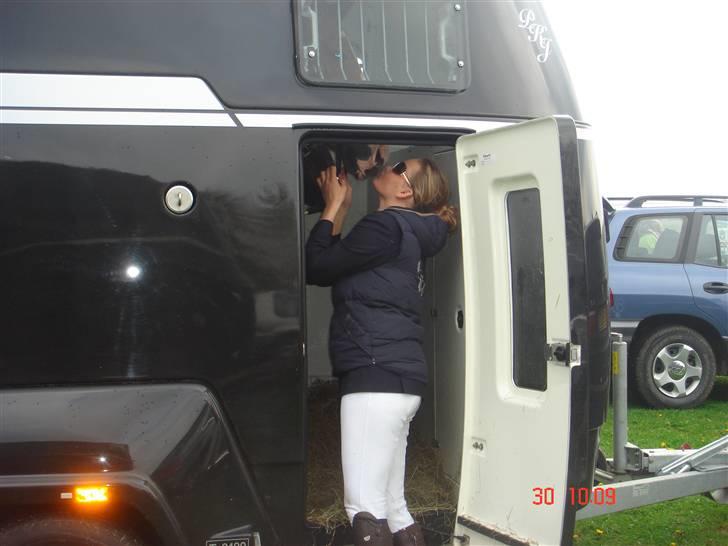 Anden særlig race Baloulot Z (givet væk) billede 15