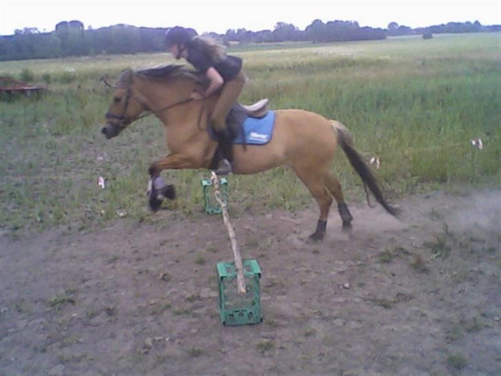 Anden særlig race ribena - vi kom over haah :) billede 10