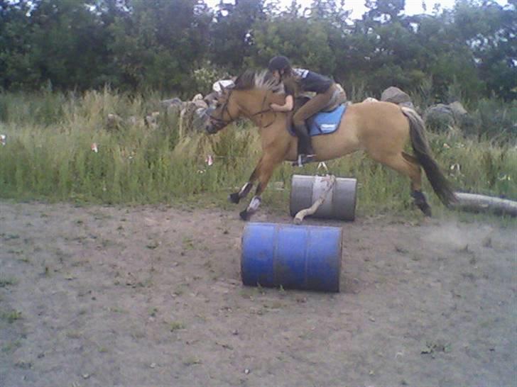 Anden særlig race ribena - spring:) billede 11
