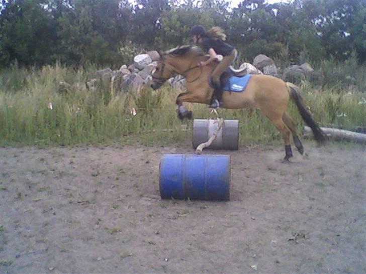 Anden særlig race ribena - spring:) billede 12