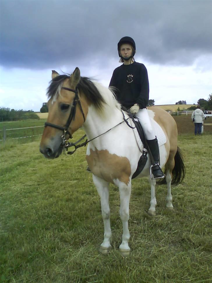 Anden særlig race Victoria <3 R.I.P <3 :'( Savner dig :'( <3 - Mi og victoria til stævne den 28/6-08 billede 4