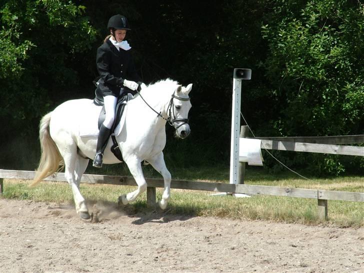 Anden særlig race Mizar <3 billede 6