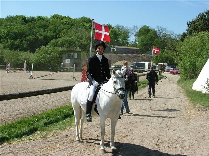 Anden særlig race Mizar <3 billede 8