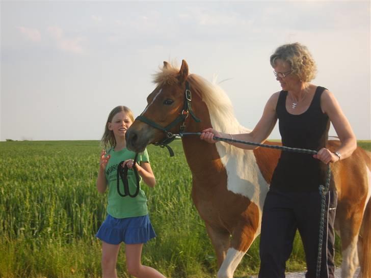 Anden særlig race C-mol  - ude og gå aftentur billede 4