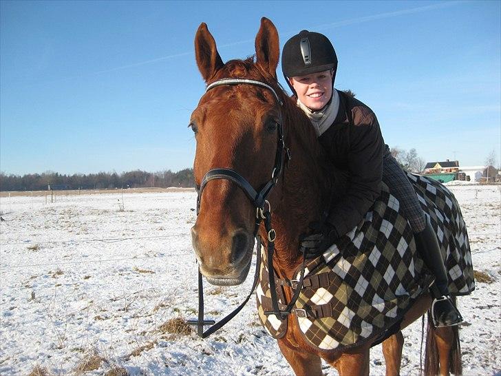 Frederiksborg Rubin [Himmelhest] - 6: Januar 2011 billede 6