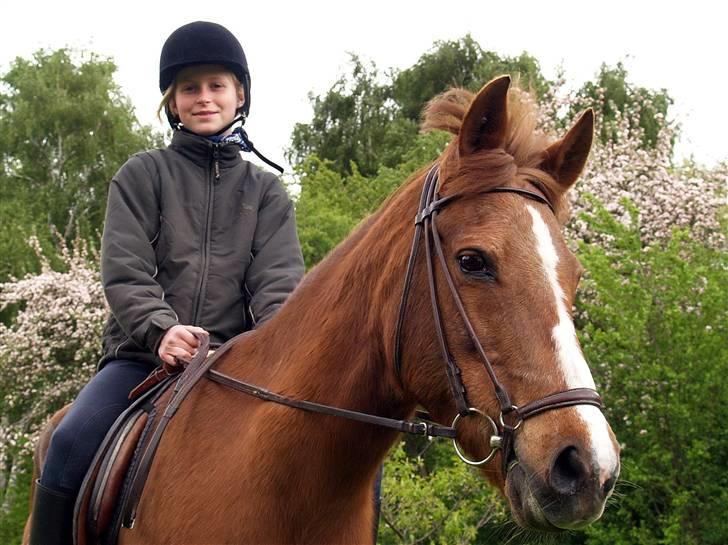 DSP Shirlind - R.I.P. billede 9