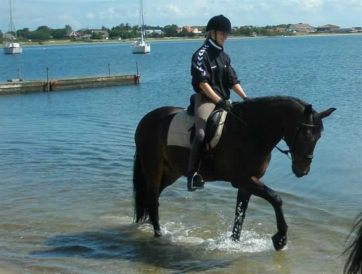 Oldenborg Oassis Helfin - Ozzy og jeg på stranden :D billede 12