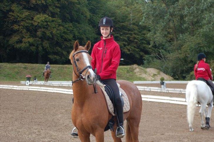 Tysk Sportspony Vanja 2 *R.I.P.* - Mig og Vanja til DM hold i Frederikshavn 2010:) Billedet er fra Fredag hvor jeg ude og vise hende banen så hun kunne få "gloet af" :) billede 16