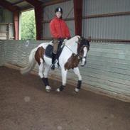 Anden særlig race Donna<3 - R. I. P. !