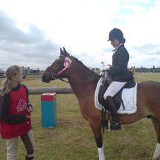 Anden særlig race Felex SOLGT