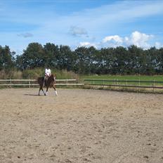 Palomino Lady - SOLGT :'( 