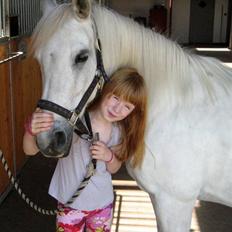 Anden særlig race Musse. R.I.P. *Himmel hest*