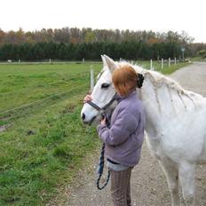 Anden særlig race Musse. R.I.P. *Himmel hest*