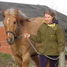 Anden særlig race Silas