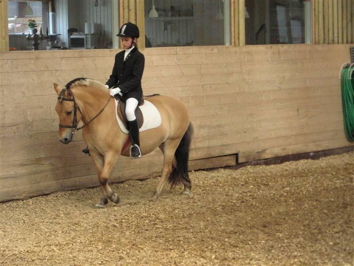 Anden særlig race Flora Danica - Stævne d. 29. Juni LC1 på B bane red til 56,25% Foto: Stig M. Carlsen billede 9