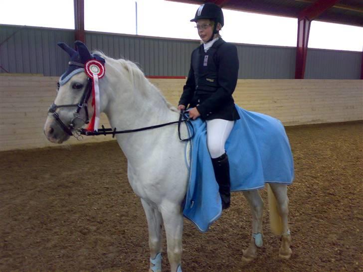 Irsk Sportspony Cappachino Pensioneret - ER VI IKKE GODE <3 En 1. plads i LB den eneste der red 0:) (Fotograf: Min far) billede 4