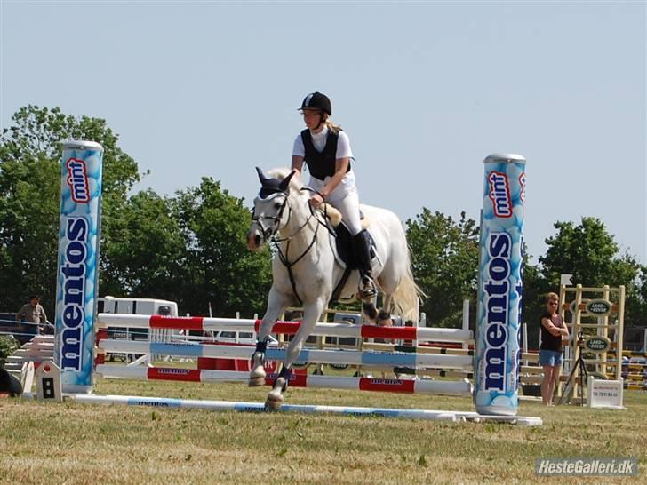 Irsk Sportspony Cappachino Pensioneret - TIL STÆVNE I SDR. HYGUM.. Tika Cup.. (Fotograf: ?) billede 7