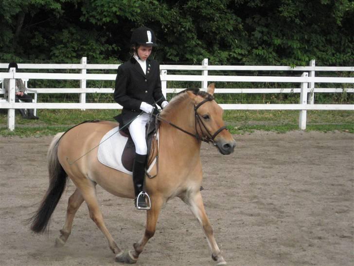 Anden særlig race Flora Danica - Søde pony TAG SÅ DET HOVED NED!!! (Opvarmning) Foto: Stig M. Carlsen billede 10