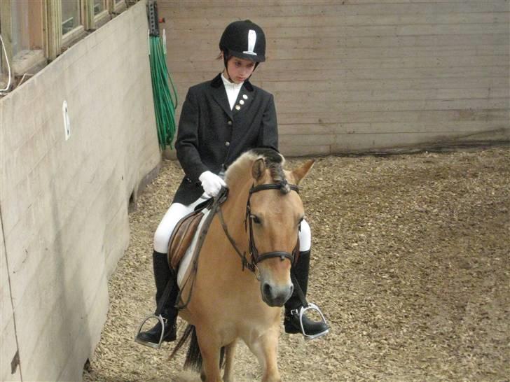 Anden særlig race Flora Danica - Undskyld jeg kigger ned, det er en dårlig vane! Foto: Stig M. Carlsen billede 11