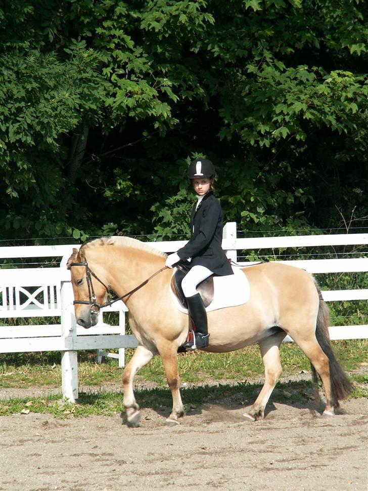Anden særlig race Flora Danica - Dejlige Flora! Foto: Stig M. Carlsen billede 12
