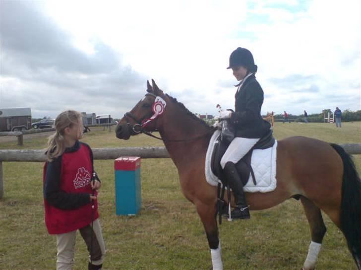 Anden særlig race Felex SOLGT billede 3