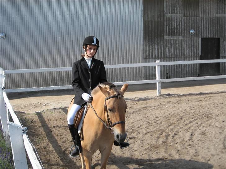 Anden særlig race Flora Danica - Dræberblik til min far :P Foto: Stig M. Carlsen billede 13