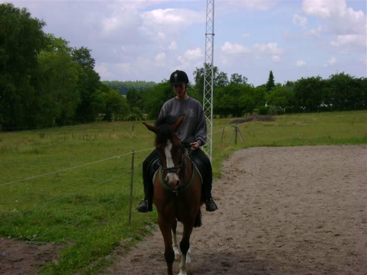 Anden særlig race Kimber - Kimber på banen med mig . billede 12